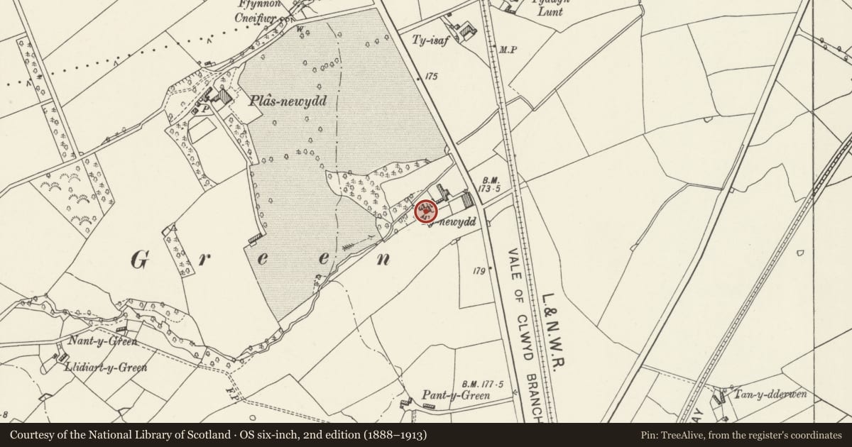 Ordnance Survey six-inch map, 2nd edition (1888–1913) covering the location of Ty Newydd, including adjoining section of garden wall, Denbigh, Denbighshire, with a pin at the register's coordinates