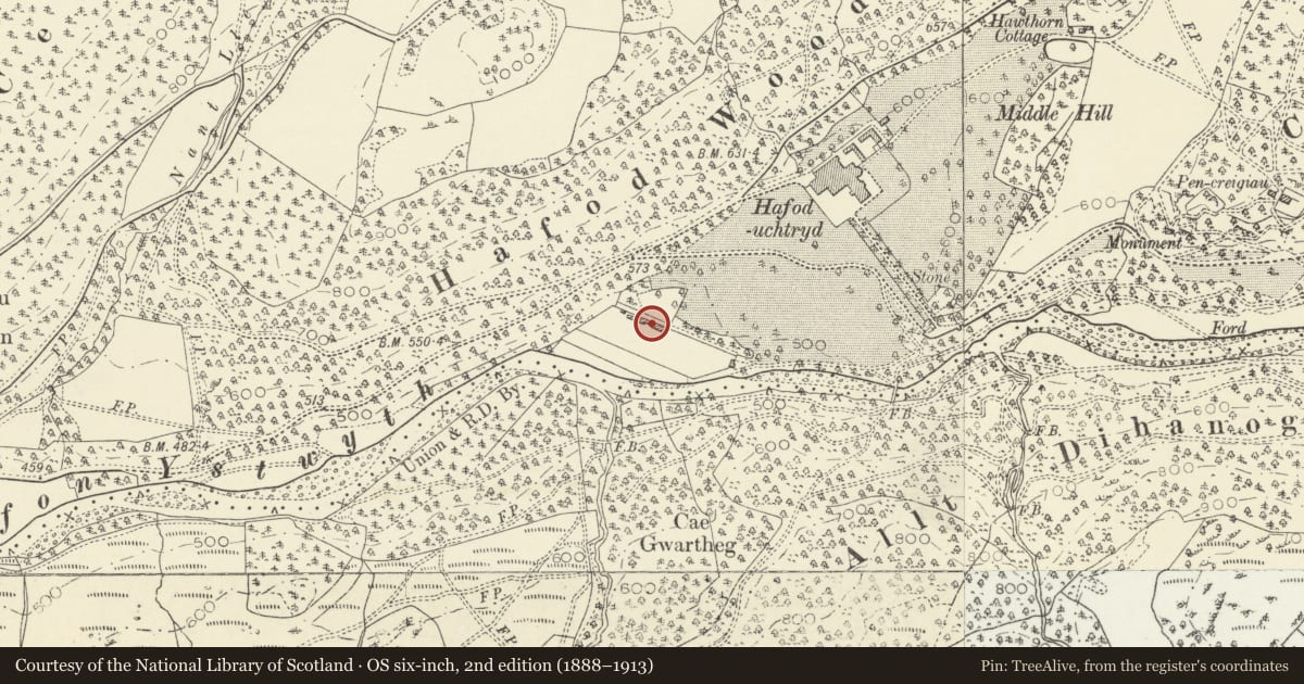 Ordnance Survey six-inch map, 2nd edition (1888–1913) covering the location of Former kitchen garden walls, greenhouses, associated outbuildings and river terrace at Hafod, Pontarfynach, Ceredigion, with a pin at the register's coordinates