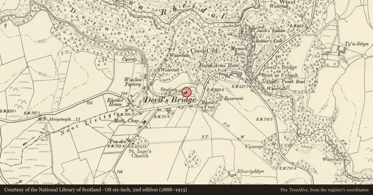 Ordnance Survey six-inch map, 2nd edition (1888–1913) covering the location of Devil's Bridge Station, Pontarfynach, Ceredigion, with a pin at the register's coordinates