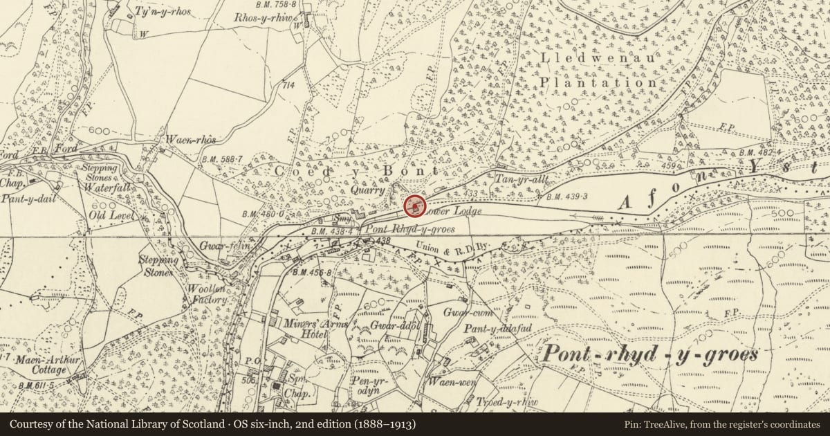 Ordnance Survey six-inch map, 2nd edition (1888–1913) covering the location of Gatepiers and gates at Hafod Lower Lodge, Ysbyty Ystwyth, Ceredigion, with a pin at the register's coordinates