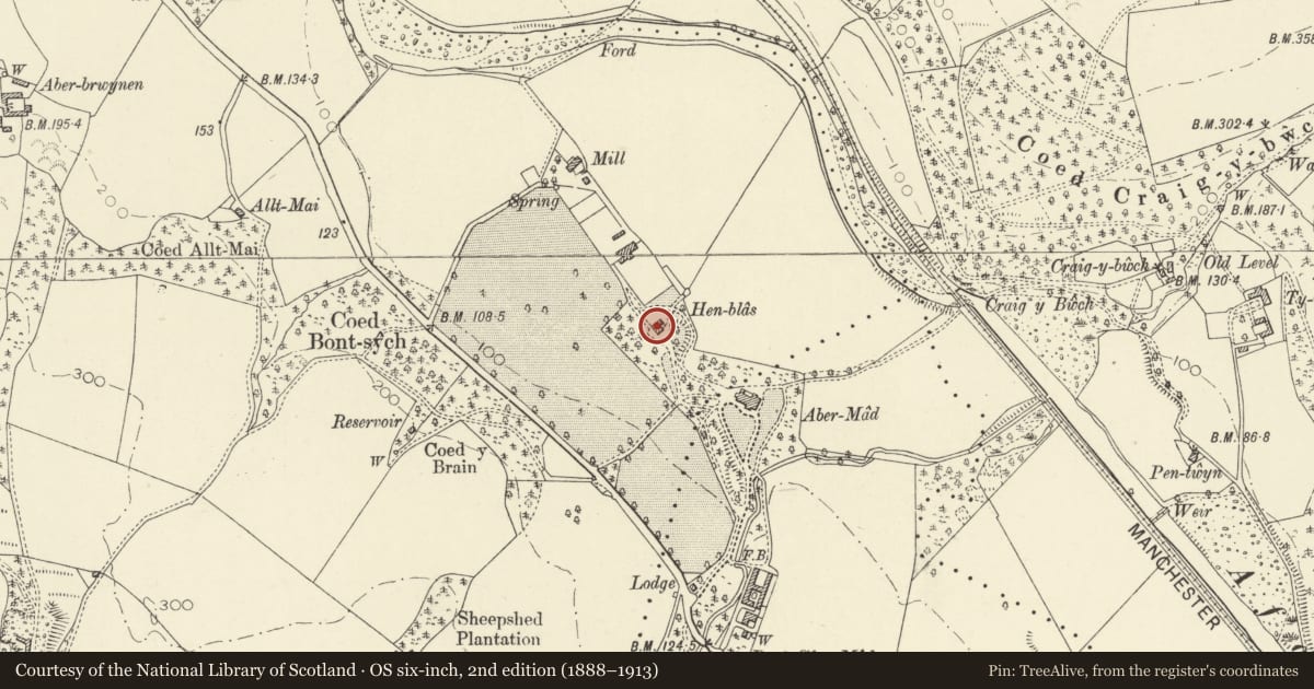 Ordnance Survey six-inch map, 2nd edition (1888–1913) covering the location of Henblas, Llanfarian, Ceredigion, with a pin at the register's coordinates