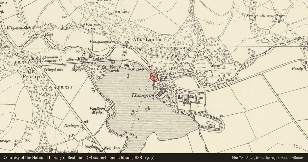 Ordnance Survey six-inch map, 2nd edition (1888–1913) covering the location of One Set of Gatepiers and Gate to drives NW of Llanerchaeron (Previously listed as sited at Llanaeron, Ciliau Aeron, Ceredigion, with a pin at the register's coordinates