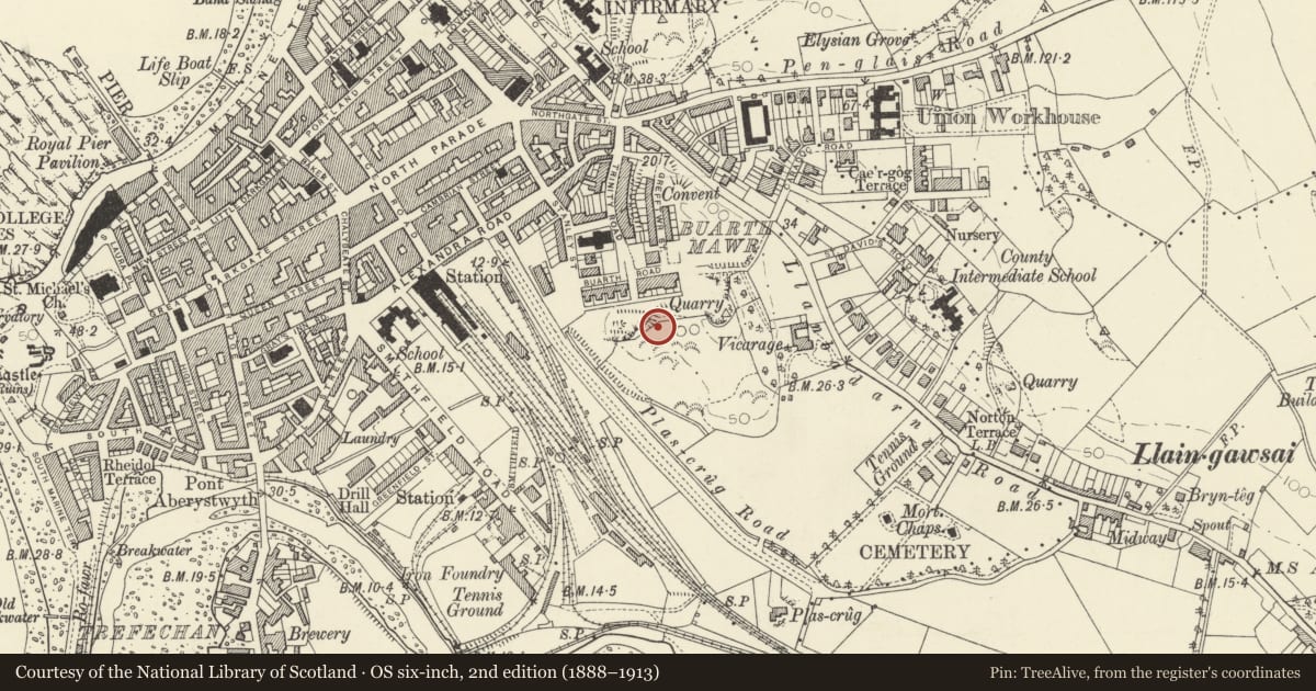 Ordnance Survey six-inch map, 2nd edition (1888–1913) covering the location of Edward Davies Memorial Chemical Laboratories, Aberystwyth, Ceredigion, with a pin at the register's coordinates