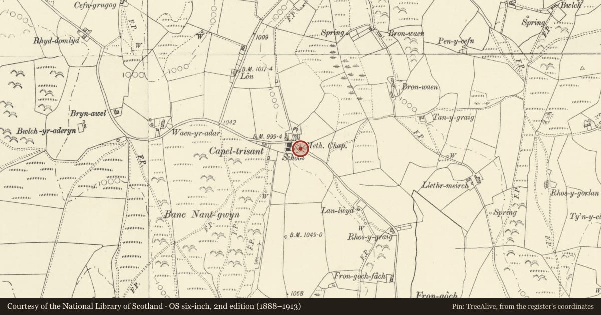 Ordnance Survey six-inch map, 2nd edition (1888–1913) covering the location of Telephone Call-box to SE of Capel Trisant, Pontarfynach, Ceredigion, with a pin at the register's coordinates