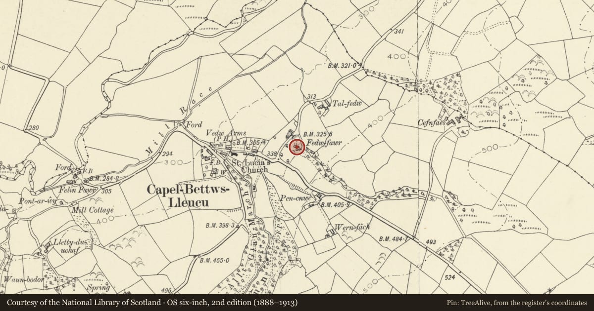 Ordnance Survey six-inch map, 2nd edition (1888–1913) covering the location of Fedw Fawr, Llangeitho, Ceredigion, with a pin at the register's coordinates