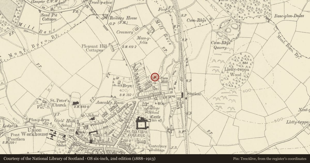 Ordnance Survey six-inch map, 2nd edition (1888–1913) covering the location of Y Felin, Lampeter, Ceredigion, with a pin at the register's coordinates