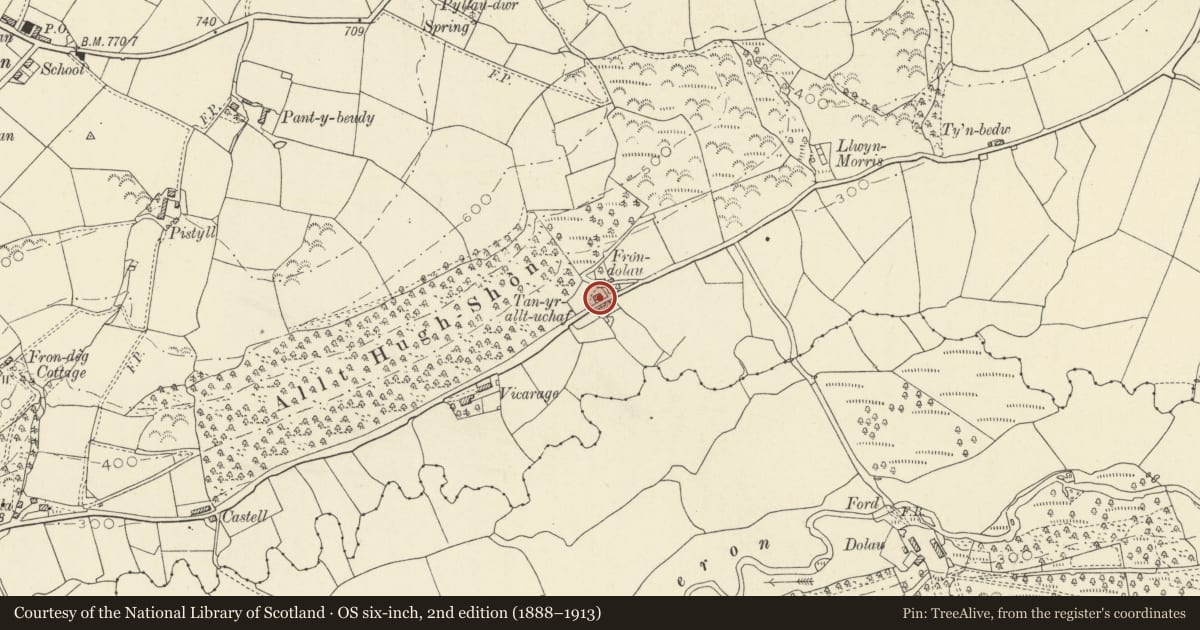 Ordnance Survey six-inch map, 2nd edition (1888–1913) covering the location of Tanrallt Uchaf, Nantcwnlle, Ceredigion, with a pin at the register's coordinates