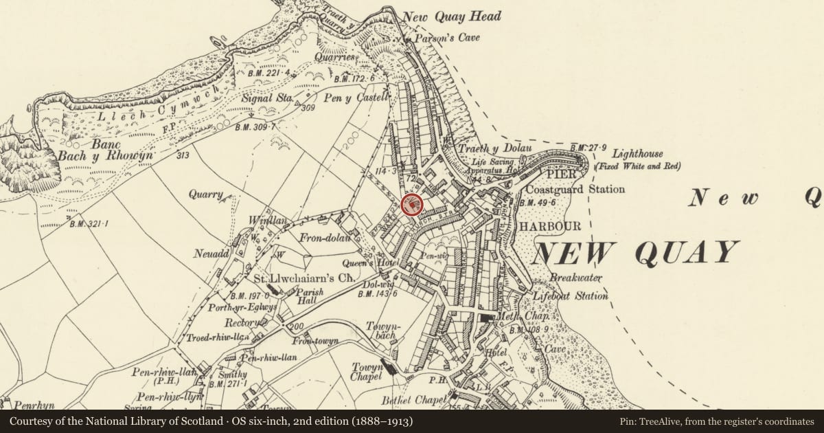 Ordnance Survey six-inch map, 2nd edition (1888–1913) covering the location of Rhandir, New Quay, Ceredigion, with a pin at the register's coordinates