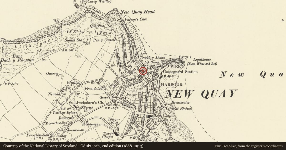 Ordnance Survey six-inch map, 2nd edition (1888–1913) covering the location of The Captains Table, New Quay, Ceredigion, with a pin at the register's coordinates