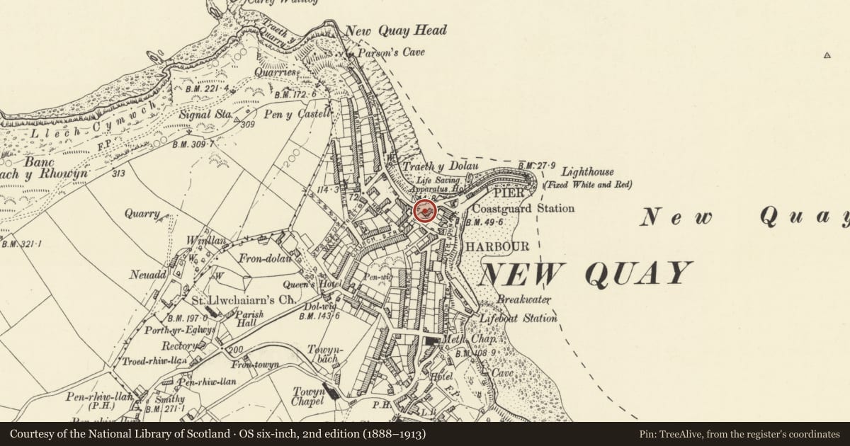 Ordnance Survey six-inch map, 2nd edition (1888–1913) covering the location of The Glyn, New Quay, Ceredigion, with a pin at the register's coordinates