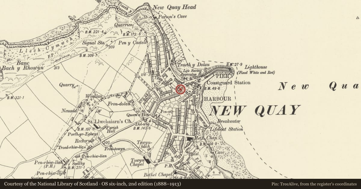 Ordnance Survey six-inch map, 2nd edition (1888–1913) covering the location of No 1 Spring Gardens, New Quay, Ceredigion, with a pin at the register's coordinates