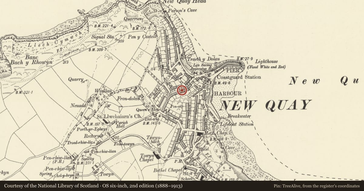 Ordnance Survey six-inch map, 2nd edition (1888–1913) covering the location of Rhoslwyn, New Quay, Ceredigion, with a pin at the register's coordinates