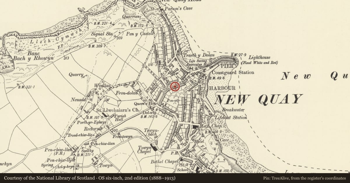 Ordnance Survey six-inch map, 2nd edition (1888–1913) covering the location of Barclays Bank, New Quay, Ceredigion, with a pin at the register's coordinates