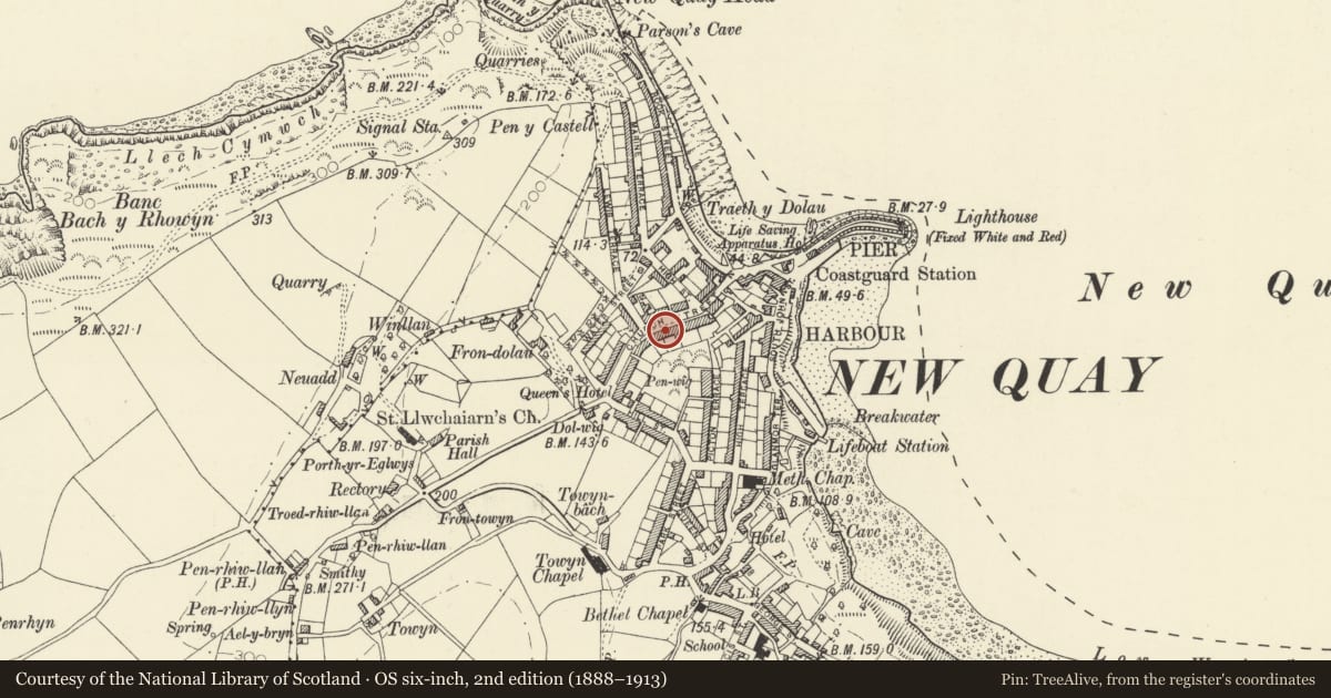 Ordnance Survey six-inch map, 2nd edition (1888–1913) covering the location of Emrys, New Quay, Ceredigion, with a pin at the register's coordinates