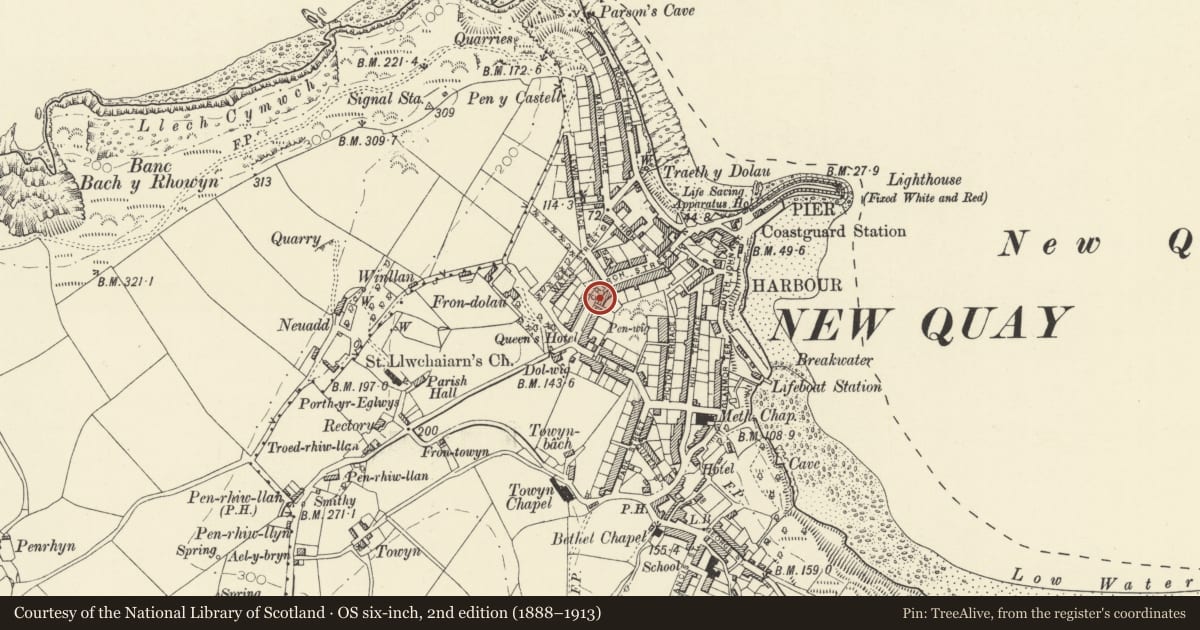 Ordnance Survey six-inch map, 2nd edition (1888–1913) covering the location of Cledlyn, New Quay, Ceredigion, with a pin at the register's coordinates