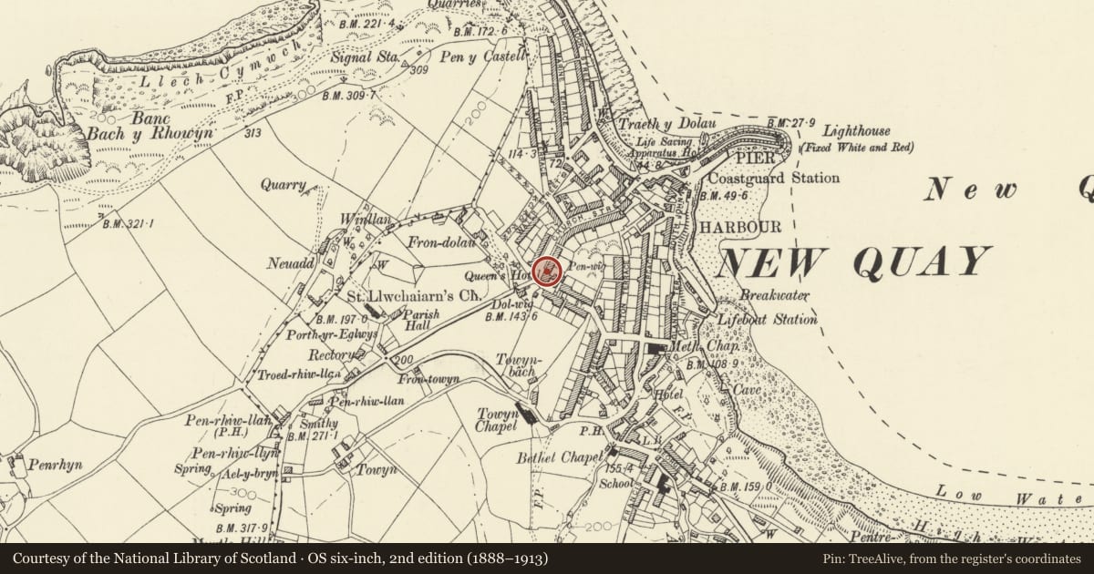 Ordnance Survey six-inch map, 2nd edition (1888–1913) covering the location of The Queens Hotel, New Quay, Ceredigion, with a pin at the register's coordinates
