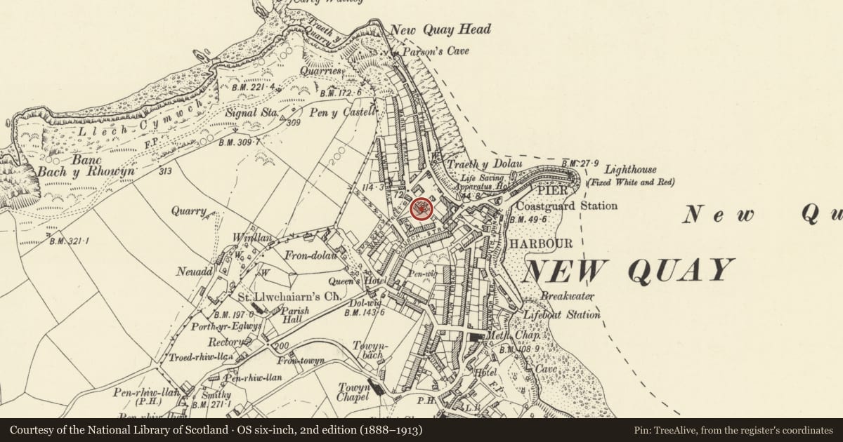Ordnance Survey six-inch map, 2nd edition (1888–1913) covering the location of 1 High Street, New Quay, Ceredigion, with a pin at the register's coordinates