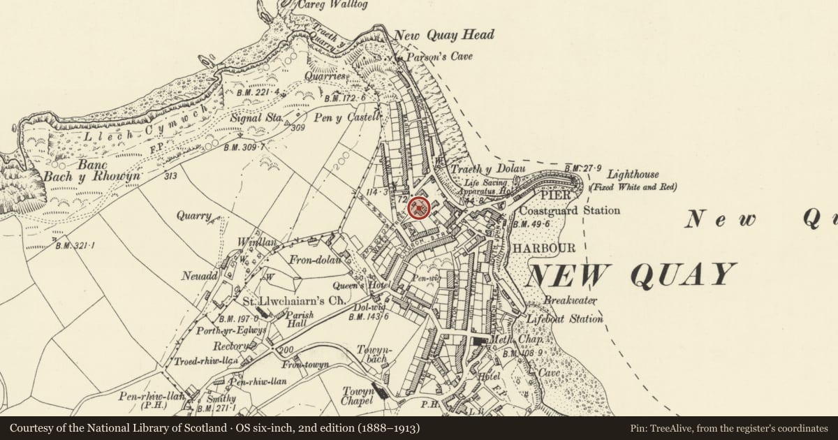 Ordnance Survey six-inch map, 2nd edition (1888–1913) covering the location of Coedmor, New Quay, Ceredigion, with a pin at the register's coordinates