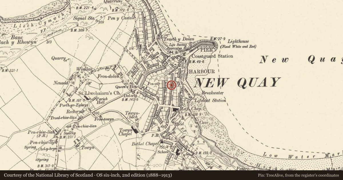 Ordnance Survey six-inch map, 2nd edition (1888–1913) covering the location of Olwen, New Quay, Ceredigion, with a pin at the register's coordinates