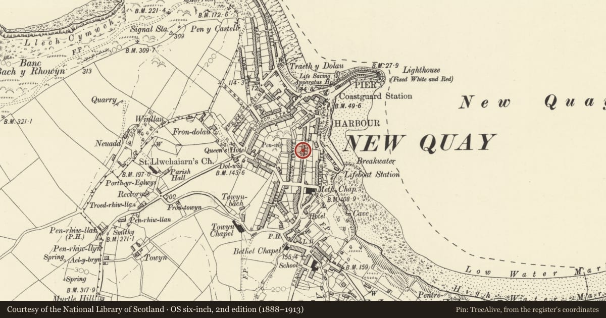 Ordnance Survey six-inch map, 2nd edition (1888–1913) covering the location of South Winds and Sunnycroft, New Quay, Ceredigion, with a pin at the register's coordinates