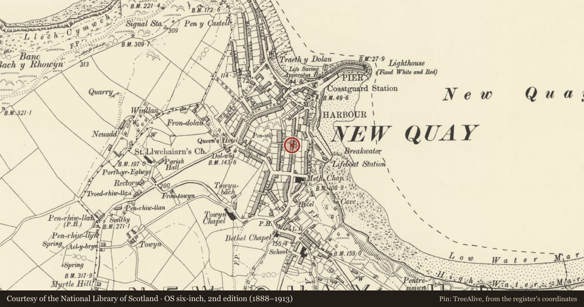 Ordnance Survey six-inch map, 2nd edition (1888–1913) covering the location of Myn y Mor, New Quay, Ceredigion, with a pin at the register's coordinates