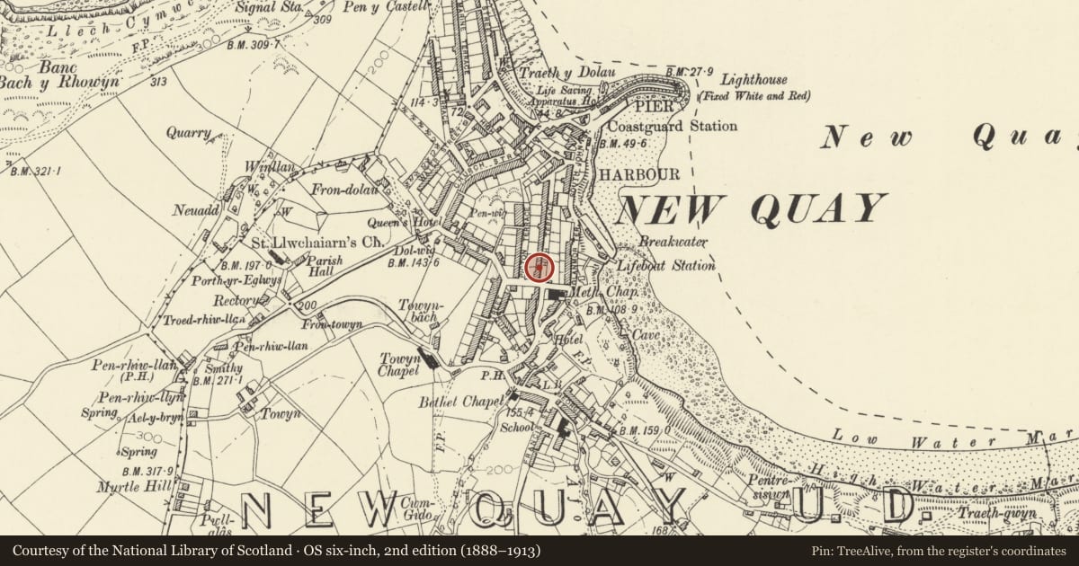 Ordnance Survey six-inch map, 2nd edition (1888–1913) covering the location of 17 High Terrace, New Quay, Ceredigion, with a pin at the register's coordinates