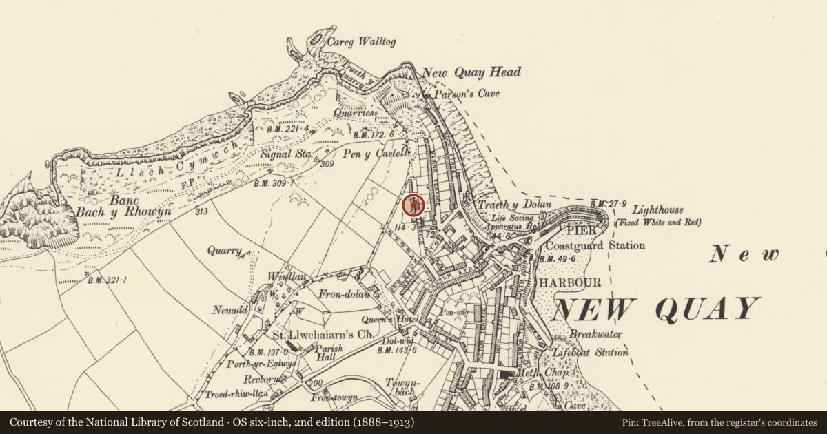Ordnance Survey six-inch map, 2nd edition (1888–1913) covering the location of Tangefedd, New Quay, Ceredigion, with a pin at the register's coordinates