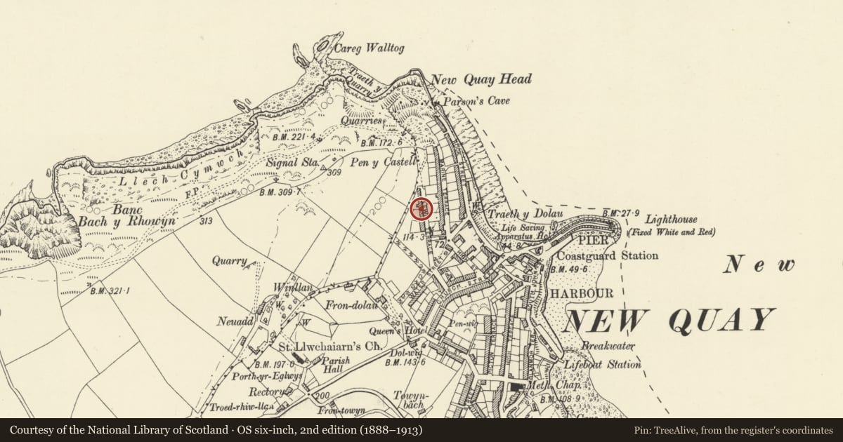 Ordnance Survey six-inch map, 2nd edition (1888–1913) covering the location of Confidence, New Quay, Ceredigion, with a pin at the register's coordinates