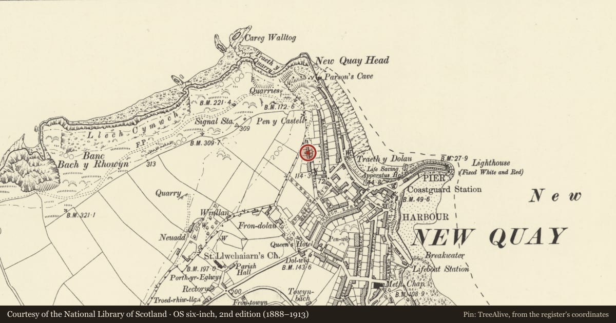 Ordnance Survey six-inch map, 2nd edition (1888–1913) covering the location of 7 Lewis Terrace, New Quay, Ceredigion, with a pin at the register's coordinates