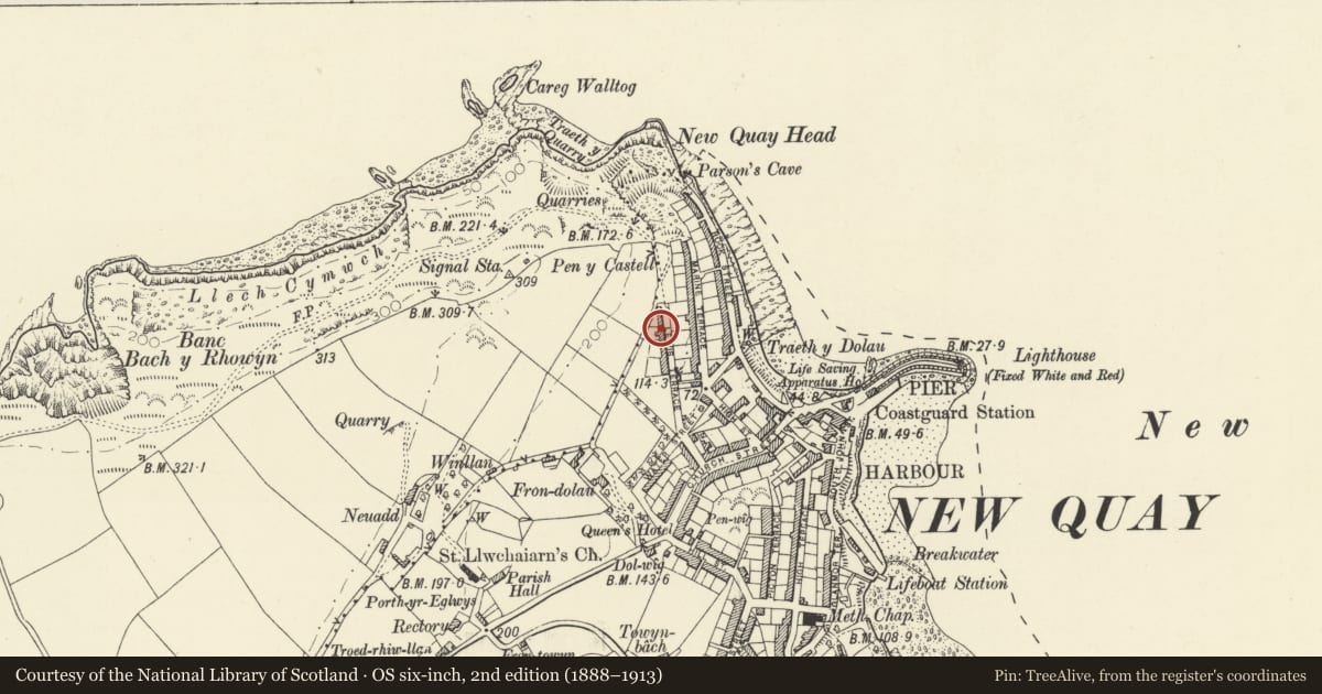 Ordnance Survey six-inch map, 2nd edition (1888–1913) covering the location of No.8 including front garden and railings, New Quay, Ceredigion, with a pin at the register's coordinates