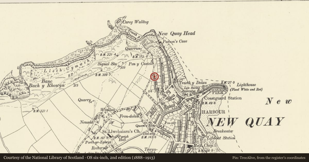 Ordnance Survey six-inch map, 2nd edition (1888–1913) covering the location of Tegfyn, New Quay, Ceredigion, with a pin at the register's coordinates
