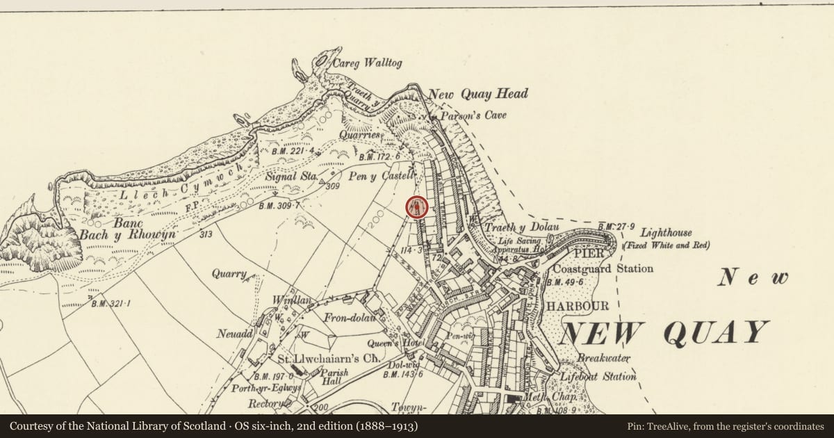 Ordnance Survey six-inch map, 2nd edition (1888–1913) covering the location of Sheridan, New Quay, Ceredigion, with a pin at the register's coordinates