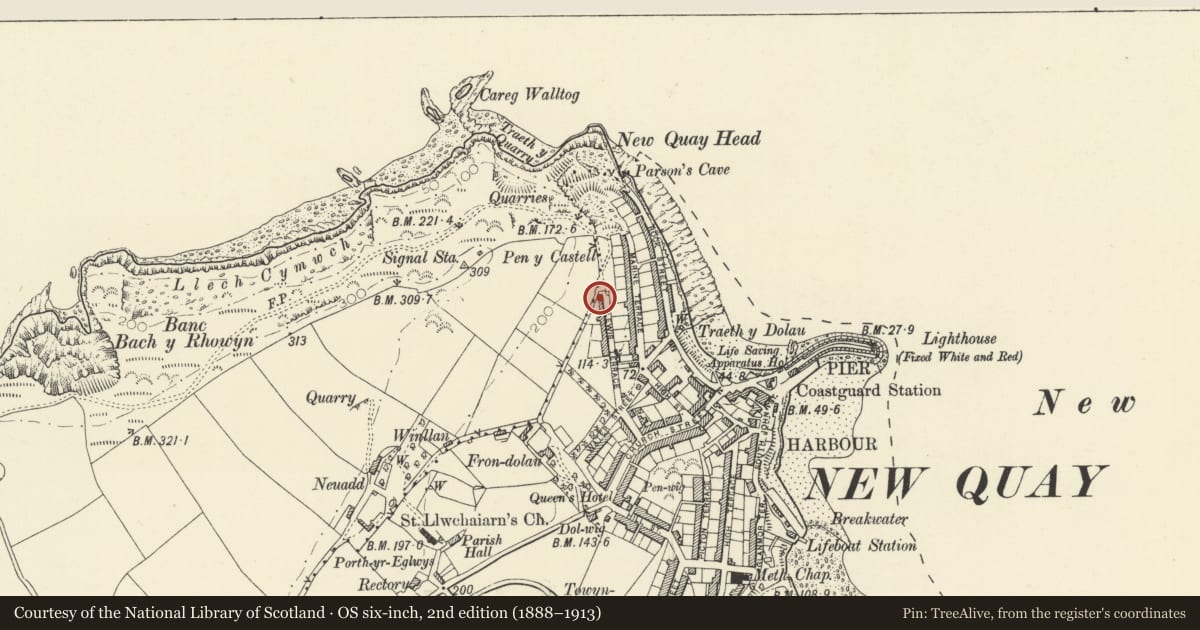 Ordnance Survey six-inch map, 2nd edition (1888–1913) covering the location of 11 Lewis Terrace, New Quay, Ceredigion, with a pin at the register's coordinates