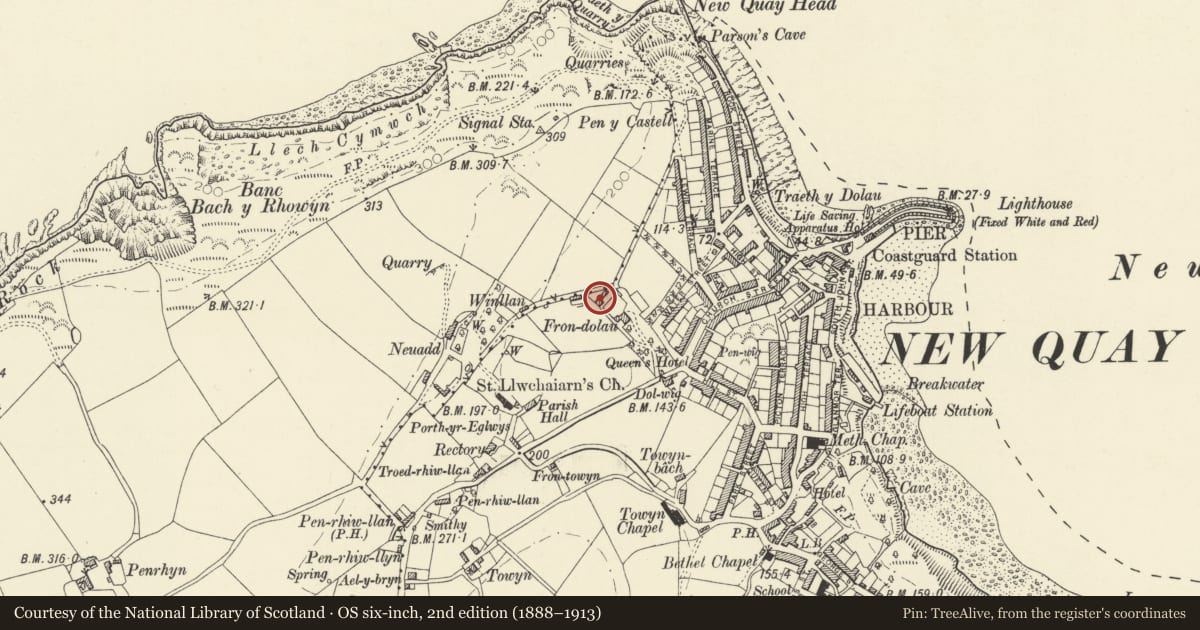 Ordnance Survey six-inch map, 2nd edition (1888–1913) covering the location of Range of Outbuildings to NW of Fron Dolau, New Quay, Ceredigion, with a pin at the register's coordinates