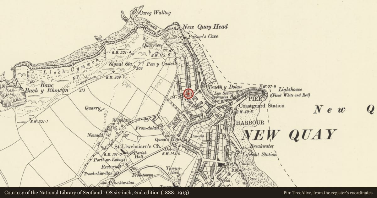 Ordnance Survey six-inch map, 2nd edition (1888–1913) covering the location of Nos 1&2 Ivy Place, New Quay, Ceredigion, with a pin at the register's coordinates