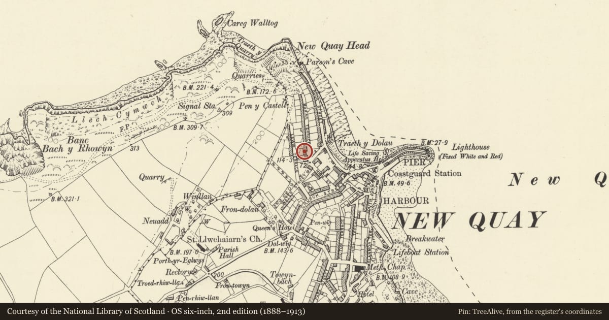 Ordnance Survey six-inch map, 2nd edition (1888–1913) covering the location of Ivy House including garden railings, New Quay, Ceredigion, with a pin at the register's coordinates