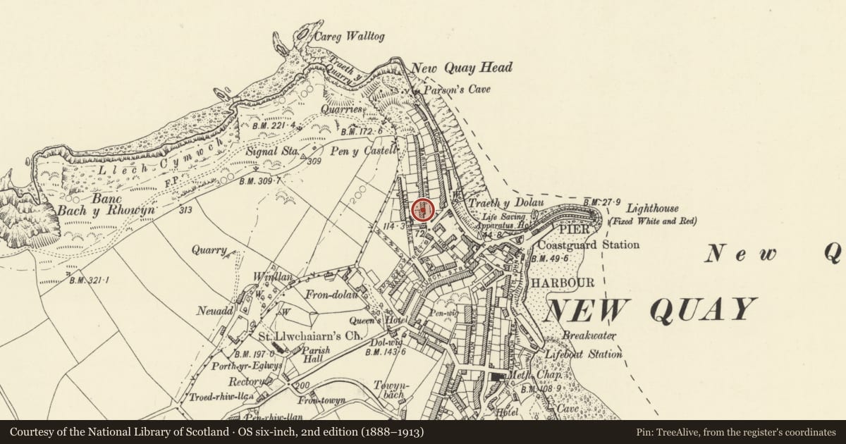 Ordnance Survey six-inch map, 2nd edition (1888–1913) covering the location of 1 Marine Terrace, New Quay, Ceredigion, with a pin at the register's coordinates