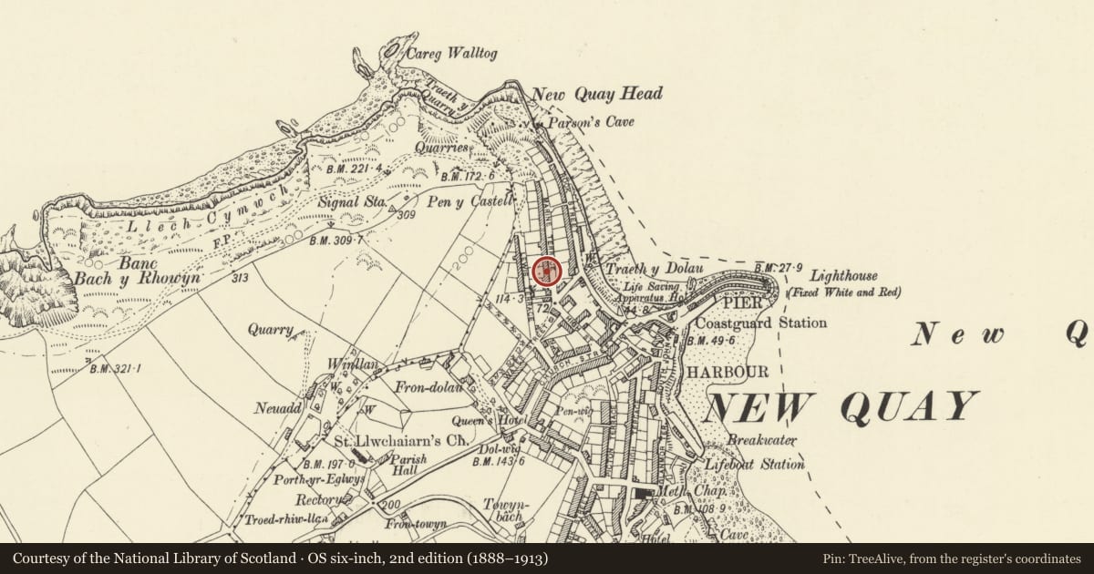 Ordnance Survey six-inch map, 2nd edition (1888–1913) covering the location of Arwel, New Quay, Ceredigion, with a pin at the register's coordinates