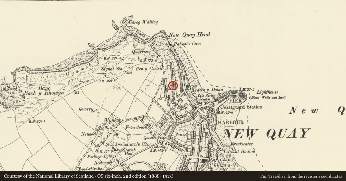 Ordnance Survey six-inch map, 2nd edition (1888–1913) covering the location of Arvonia, New Quay, Ceredigion, with a pin at the register's coordinates