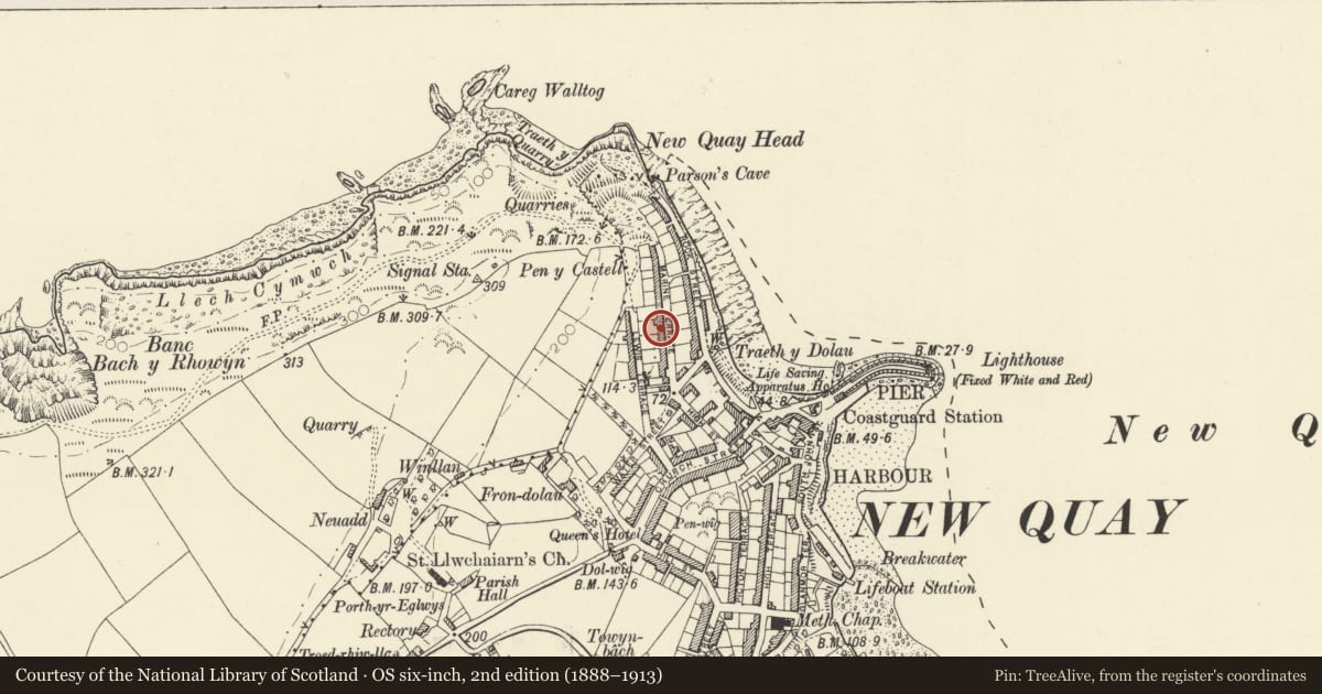 Ordnance Survey six-inch map, 2nd edition (1888–1913) covering the location of Loch Shiel, New Quay, Ceredigion, with a pin at the register's coordinates