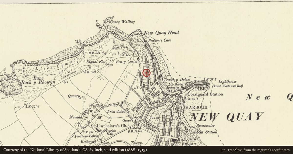 Ordnance Survey six-inch map, 2nd edition (1888–1913) covering the location of No 7 including Garden railings, New Quay, Ceredigion, with a pin at the register's coordinates