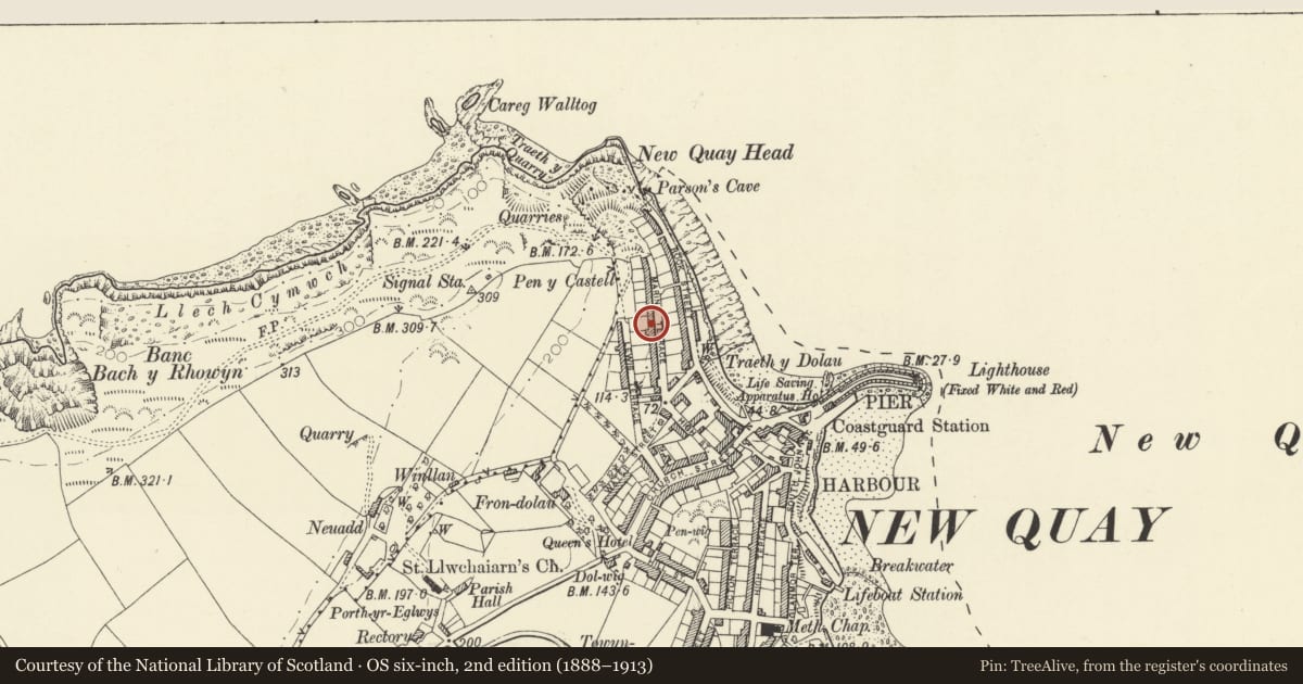 Ordnance Survey six-inch map, 2nd edition (1888–1913) covering the location of Zenobia including garden railings, New Quay, Ceredigion, with a pin at the register's coordinates