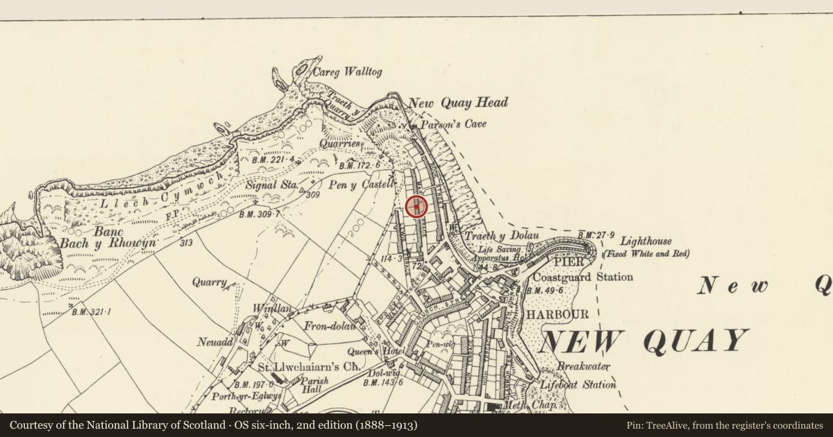 Ordnance Survey six-inch map, 2nd edition (1888–1913) covering the location of 9 Marine Terrace, New Quay, Ceredigion, with a pin at the register's coordinates