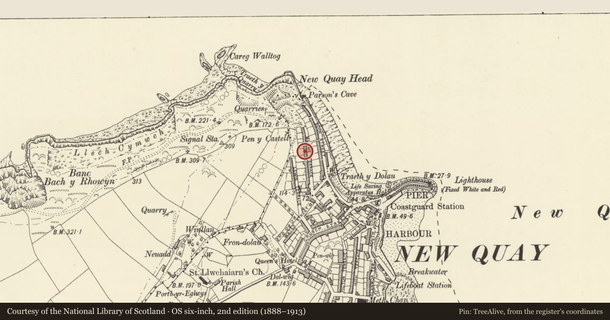 Ordnance Survey six-inch map, 2nd edition (1888–1913) covering the location of Fairholm, New Quay, Ceredigion, with a pin at the register's coordinates
