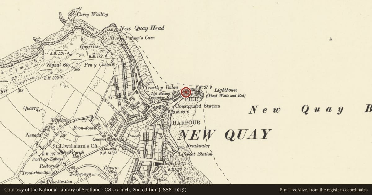 Ordnance Survey six-inch map, 2nd edition (1888–1913) covering the location of The Pier including Parallel Slipway, New Quay, Ceredigion, with a pin at the register's coordinates