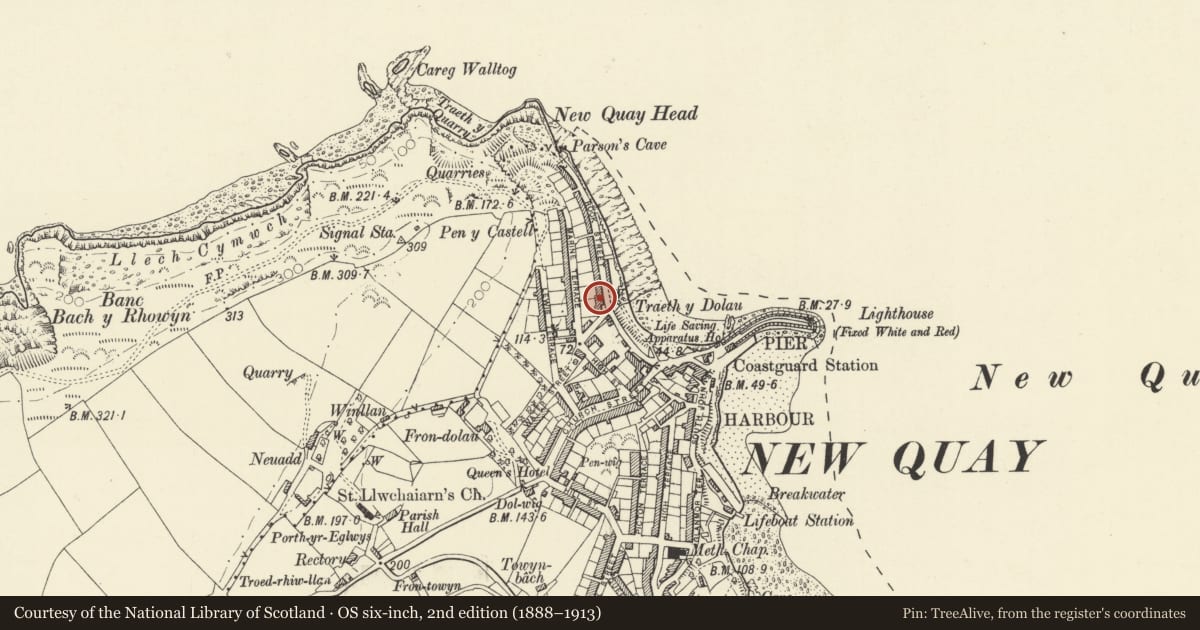 Ordnance Survey six-inch map, 2nd edition (1888–1913) covering the location of Mindraeth, New Quay, Ceredigion, with a pin at the register's coordinates