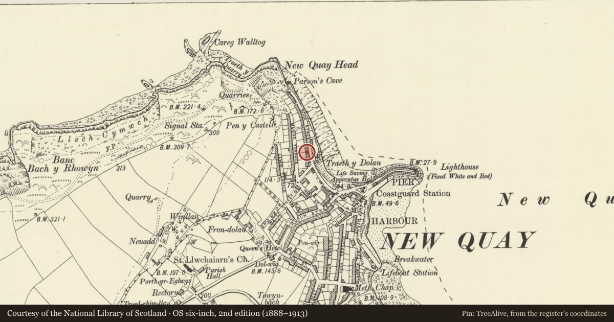 Ordnance Survey six-inch map, 2nd edition (1888–1913) covering the location of 3 Rock Street, New Quay, Ceredigion, with a pin at the register's coordinates