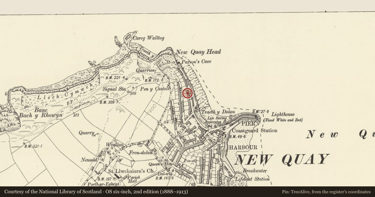 Ordnance Survey six-inch map, 2nd edition (1888–1913) covering the location of 9 Rock Street, New Quay, Ceredigion, with a pin at the register's coordinates