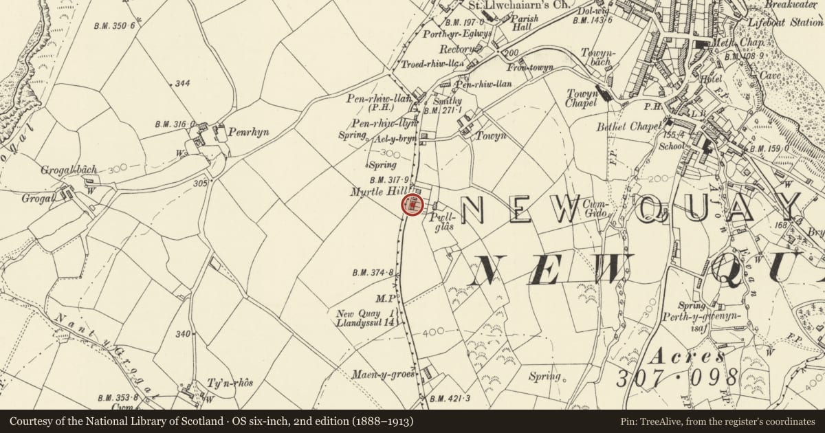 Ordnance Survey six-inch map, 2nd edition (1888–1913) covering the location of BlaenTowyn and Towyn Cottage, New Quay, Ceredigion, with a pin at the register's coordinates