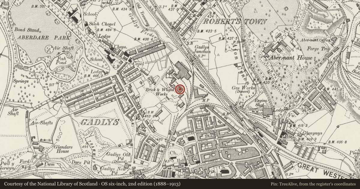 Ordnance Survey six-inch map, 2nd edition (1888–1913) covering the location of Cynon Valley main Store Building (formerly the Casting House at Gadly's Ironworks, Aberdare East, Rhondda Cynon Taff, with a pin at the register's coordinates